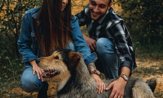 4 Bonnes raisons de choisir une montre en bois
